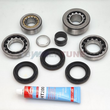 Xdrive front differential bearing and seal rebuild kit 